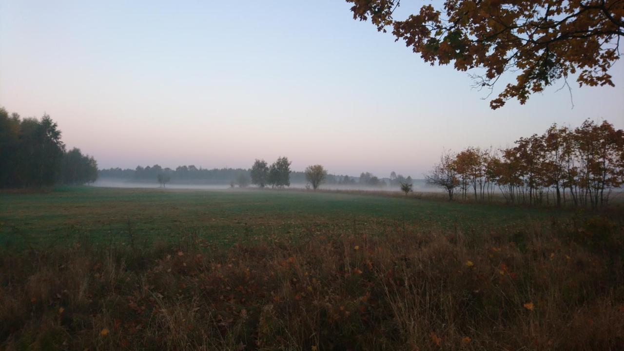 Wojciechowka Nad Jeziorakiem Pensjonat Agroturystyczny Zalewo  외부 사진